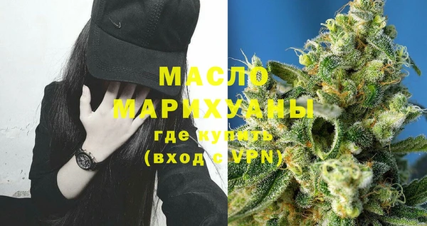 индика Медногорск