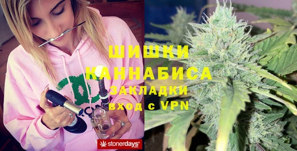 индика Медногорск
