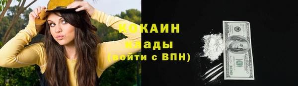 индика Медногорск