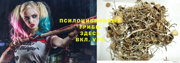 индика Медногорск