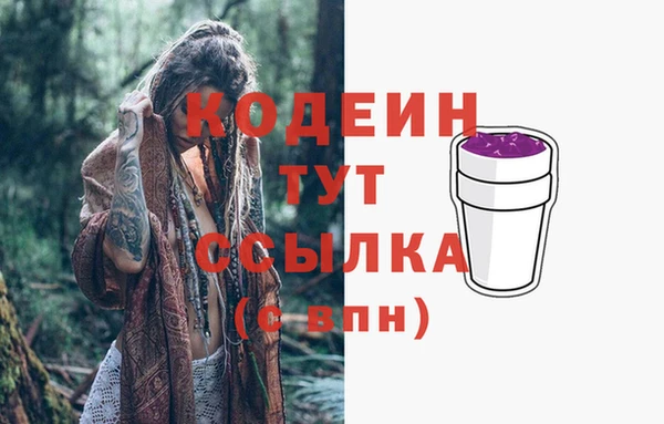 индика Медногорск