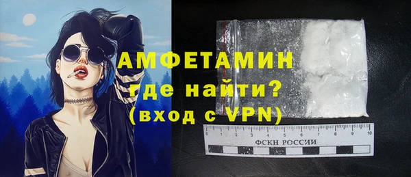 индика Медногорск