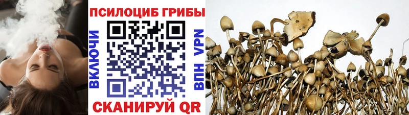 мега ссылки  Тбилисская  Псилоцибиновые грибы GOLDEN TEACHER 
